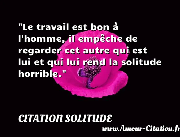 Le travail est bon à l homme, il empêche de regarder cet autre qui est lui et qui lui rend la solitude horrible.  CITATION SOLITUDE