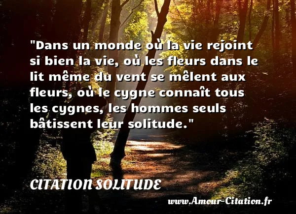 Dans un monde où la vie rejoint si bien la vie, où les fleurs dans le lit même du vent se mêlent aux fleurs, où le cygne connaît tous les cygnes, les hommes seuls bâtissent leur solitude.  CITATION SOLITUDE