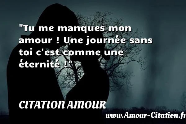 Tu me manques mon amour ! Une journée sans toi c est comme une éternité !  CITATION AMOUR
