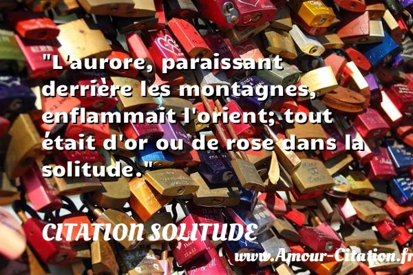 L aurore, paraissant derrière les montagnes, enflammait l orient; tout était d or ou de rose dans la solitude.  CITATION SOLITUDE