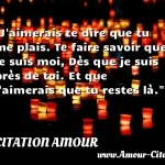  J aimerais te dire que tu me plais. Te faire savoir que je suis moi, Dès que je suis près de toi. Et que j aimerais que tu restes là.  CITATION AMOUR