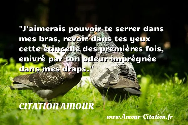 J aimerais pouvoir te serrer dans mes bras, revoir dans tes yeux cette étincelle des premières fois, enivré par ton odeur imprégnée dans mes draps.  CITATION AMOUR