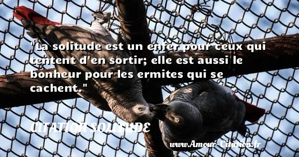 La solitude est un enfer pour ceux qui tentent d en sortir; elle est aussi le bonheur pour les ermites qui se cachent.  CITATION SOLITUDE