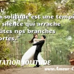 La solitude est une tempête La solitude est une tempête de silence qui arrache toutes nos branches mortes. CITATION SOLITUDE