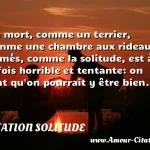  La mort, comme un terrier, comme une chambre aux rideaux fermés, comme la solitude, est à la fois horrible et tentante: on sent qu on pourrait y être bien.  CITATION SOLITUDE