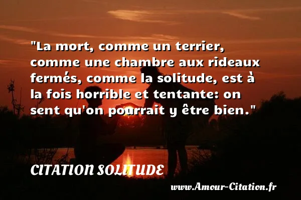 La mort, comme un terrier, comme une chambre aux rideaux fermés, comme la solitude, est à la fois horrible et tentante: on sent qu on pourrait y être bien.  CITATION SOLITUDE