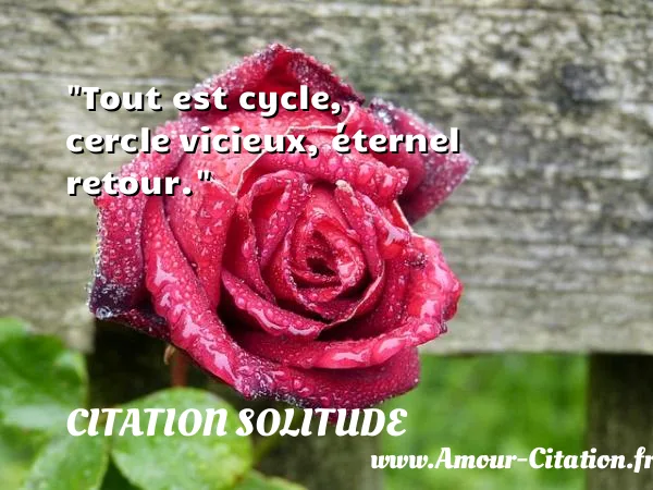 Tout est cycle, cercle vicieux, éternel retour. CITATION SOLITUDE
