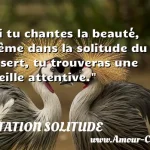  Si tu chantes la beauté, même dans la solitude du désert, tu trouveras une oreille attentive.  CITATION SOLITUDE