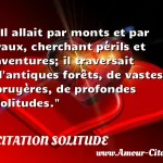  Il allait par monts et par vaux, cherchant périls et aventures; il traversait d antiques forêts, de vastes bruyères, de profondes solitudes.  CITATION SOLITUDE