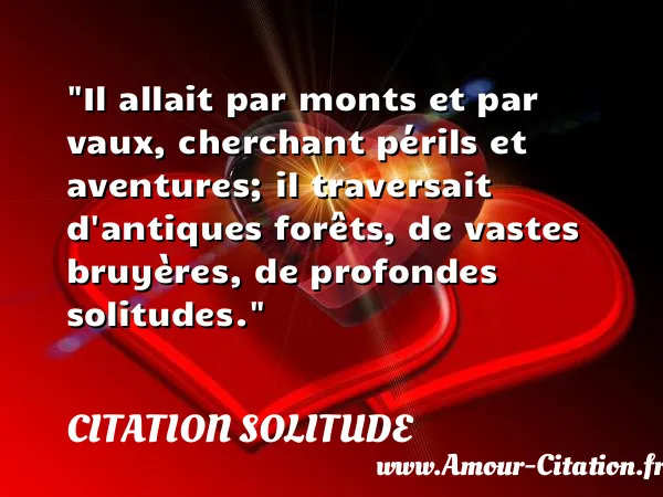 Il allait par monts et par vaux, cherchant périls et aventures; il traversait d antiques forêts, de vastes bruyères, de profondes solitudes.  CITATION SOLITUDE