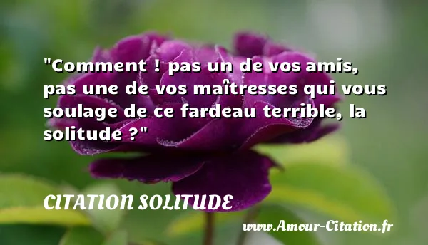 Comment ! pas un de vos amis, pas une de vos maîtresses qui vous soulage de ce fardeau terrible, la solitude ?  CITATION SOLITUDE