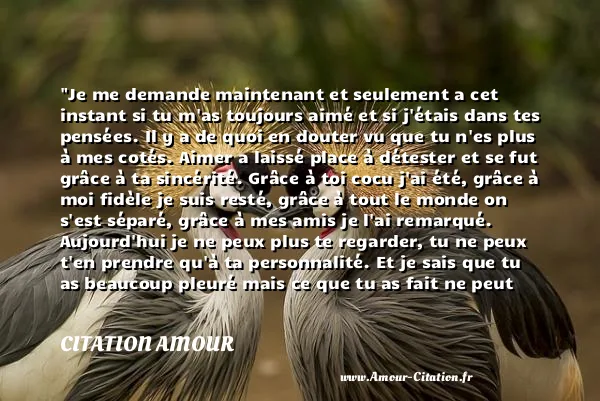 Je me demande maintenant et seulement a cet instant si tu m as toujours aimé et si j étais dans tes pensées. Il y a de quoi en douter vu que tu n es plus à mes cotés. Aimer a laissé place à détester et se fut grâce à ta sincérité. Grâce à toi cocu j ai été, grâce à moi fidèle je suis resté, grâce à tout le monde on s est séparé, grâce à mes amis je l ai remarqué. Aujourd hui je ne peux plus te regarder, tu ne peux t en prendre qu à ta personnalité. Et je sais que tu as beaucoup pleuré mais ce que tu as fait ne peut être défait.  CITATION AMOUR