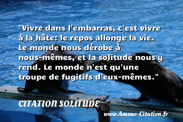 Vivre dans l embarras, c est vivre à la hâte: le repos allonge la vie. Le monde nous dérobe à nous-mêmes, et la solitude nous y rend. Le monde n est qu une troupe de fugitifs d eux-mêmes.  CITATION SOLITUDE