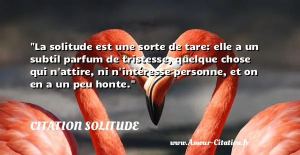 La solitude est une sorte de tare: elle a un subtil parfum de tristesse, quelque chose qui n attire, ni n intéresse personne, et on en a un peu honte.  CITATION SOLITUDE