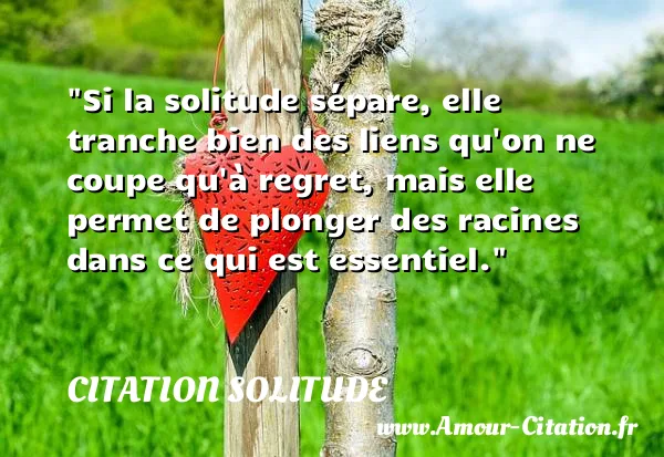 Si la solitude sépare, elle tranche bien des liens qu on ne coupe qu à regret, mais elle permet de plonger des racines dans ce qui est essentiel.  CITATION SOLITUDE