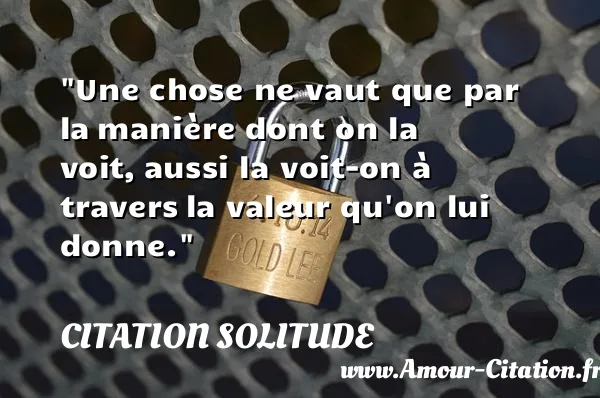 Une chose ne vaut que par la manière dont on la voit, aussi la voit-on à travers la valeur qu on lui donne.  CITATION SOLITUDE