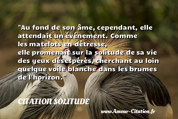 Au fond de son âme, cependant, elle attendait un événement. Comme les matelots en détresse, elle promenait sur la solitude de sa vie des yeux désespérés, cherchant au loin quelque voile blanche dans les brumes de l horizon.  CITATION SOLITUDE
