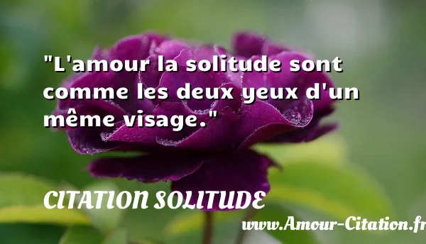L amour la solitude sont comme les deux yeux d un même visage.  CITATION SOLITUDE
