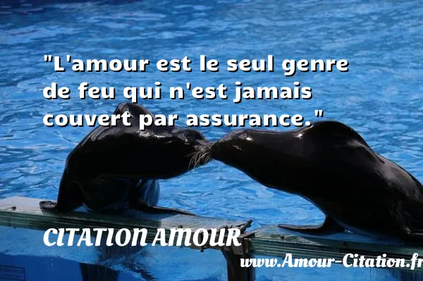 L amour est le seul genre de feu qui n est jamais couvert par assurance.  CITATION AMOUR