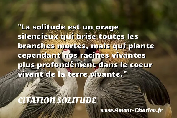 La solitude est un orage silencieux qui brise toutes les branches mortes, mais qui plante cependant nos racines vivantes plus profondément dans le coeur vivant de la terre vivante. CITATION SOLITUDE