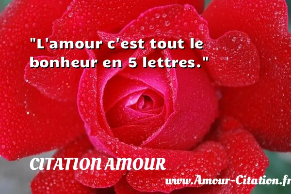 L amour c est tout le bonheur en 5 lettres.  CITATION AMOUR