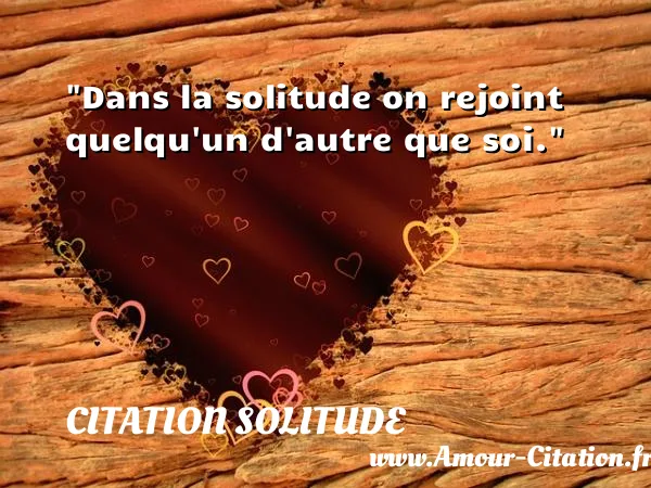 Dans la solitude on rejoint quelqu un d autre que soi.  CITATION SOLITUDE