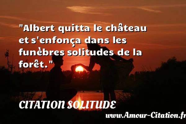 Albert quitta le château et s enfonça dans les funèbres solitudes de la forêt.  CITATION SOLITUDE