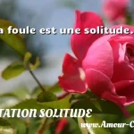  La foule est une solitude.  CITATION SOLITUDE