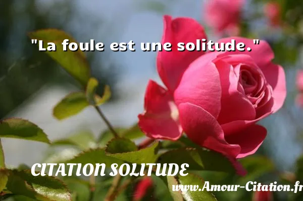 La foule est une solitude.  CITATION SOLITUDE