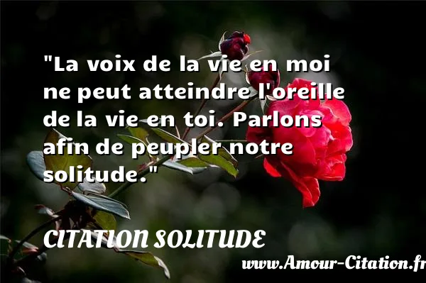 La voix de la vie en moi ne peut atteindre l oreille de la vie en toi. Parlons afin de peupler notre solitude.  CITATION SOLITUDE