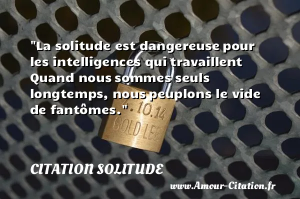 La solitude est dangereuse pour les intelligences qui travaillent Quand nous sommes seuls longtemps, nous peuplons le vide de fantômes. CITATION SOLITUDE
