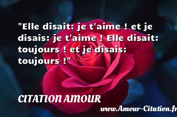 Elle disait: je t aime ! et je disais: je t aime ! Elle disait: toujours ! et je disais: toujours ! CITATION AMOUR