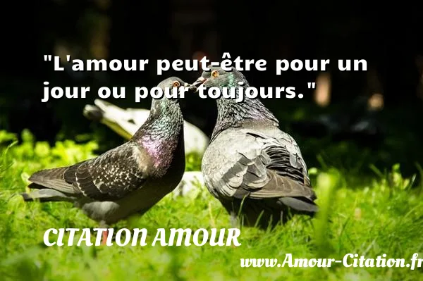 L amour peut-être pour un jour ou pour toujours.  CITATION AMOUR