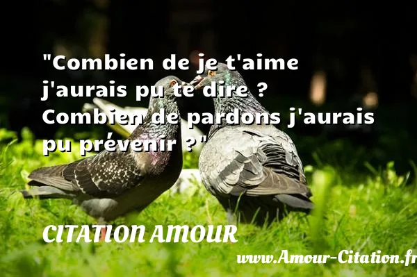 Combien de je t aime j aurais pu te dire ? Combien de pardons j aurais pu prévenir ?  CITATION AMOUR