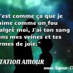  C est comme ça que je t aime comme un fou malgré moi, J ai ton sang dans mes veines et tes larmes de joie.  CITATION AMOUR