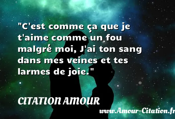 C est comme ça que je t aime comme un fou malgré moi, J ai ton sang dans mes veines et tes larmes de joie.  CITATION AMOUR