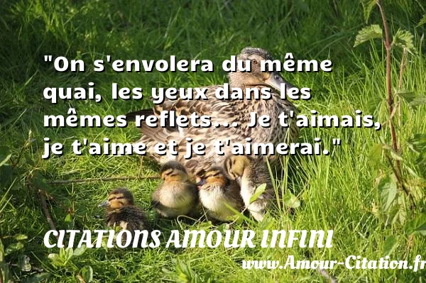 On s envolera du même quai, les yeux dans les mêmes reflets... Je t aimais, je t aime et je t aimerai.  CITATIONS AMOUR INFINI