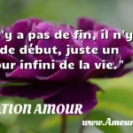  Il n y a pas de fin, il n y a pas de début, juste un amour infini de la vie.  CITATION AMOUR