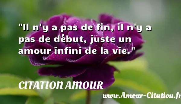 Il n y a pas de fin, il n y a pas de début, juste un amour infini de la vie.  CITATION AMOUR
