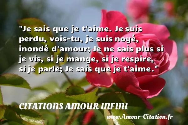 Je sais que je t aime. Je suis perdu, vois-tu, je suis noyé, inondé d amour; Je ne sais plus si je vis, si je mange, si je respire, si je parle; Je sais que je t aime.  CITATIONS AMOUR INFINI