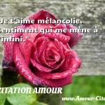  Je t aime mélancolie. Sentiment qui me mène à l infini.  CITATION AMOUR