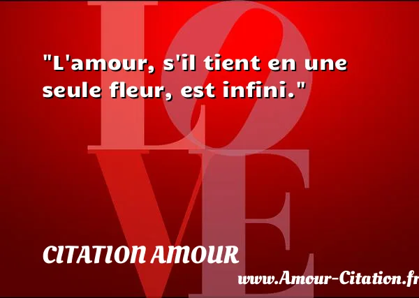 L amour, s il tient en une seule fleur, est infini. CITATION AMOUR