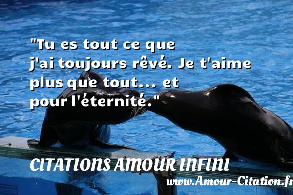Tu es tout ce que j ai toujours rêvé. Je t aime plus que tout... et pour l éternité. CITATIONS AMOUR INFINI
