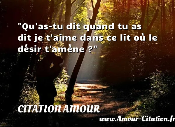 Qu as-tu dit quand tu as dit je t aime dans ce lit où le désir t amène ? CITATION AMOUR
