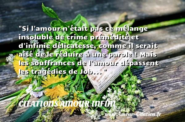 Si l amour n était pas ce mélange insoluble de crime prémédité et d infinie délicatesse, comme il serait aisé de le réduire à une parole ! Mais les souffrances de l amour dépassent les tragédies de Job...   CITATIONS AMOUR INFINI