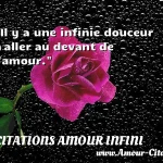  Il y a une infinie douceur à aller au devant de l amour.  CITATIONS AMOUR INFINI