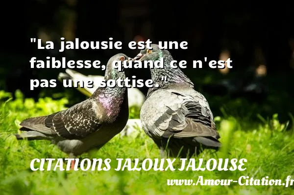 La jalousie est une faiblesse, quand ce n est pas une sottise.  CITATIONS JALOUX JALOUSE