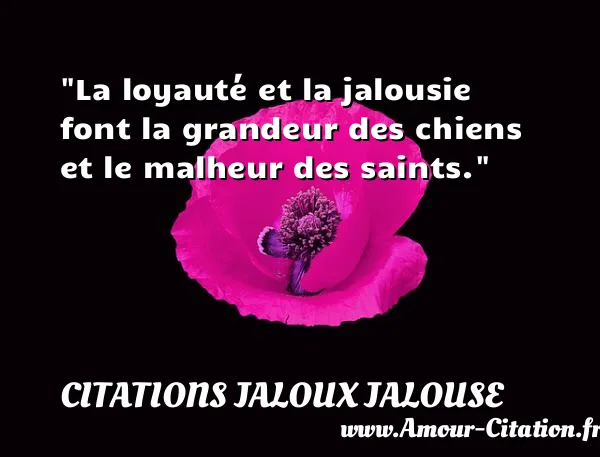 La loyauté et la jalousie font la grandeur des chiens et le malheur des saints.  CITATIONS JALOUX JALOUSE