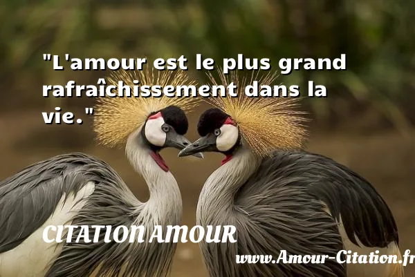 L amour est le plus grand rafraîchissement dans la vie.  CITATION AMOUR