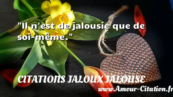 Il n est de jalousie que de soi-même. CITATIONS JALOUX JALOUSE